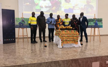 Apinto Gyaasehene Urges Gold Fields to Reclaim  Degraded Lands for Cocoa Farming