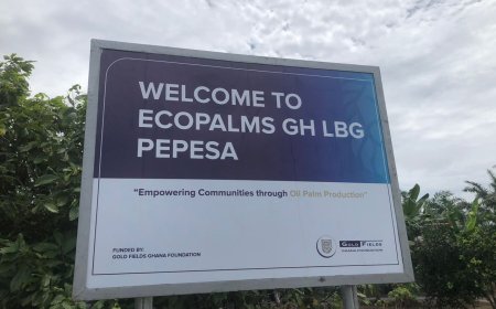 Gold Fields-Backed Nursery Cultivates Prosperity in Pepesa