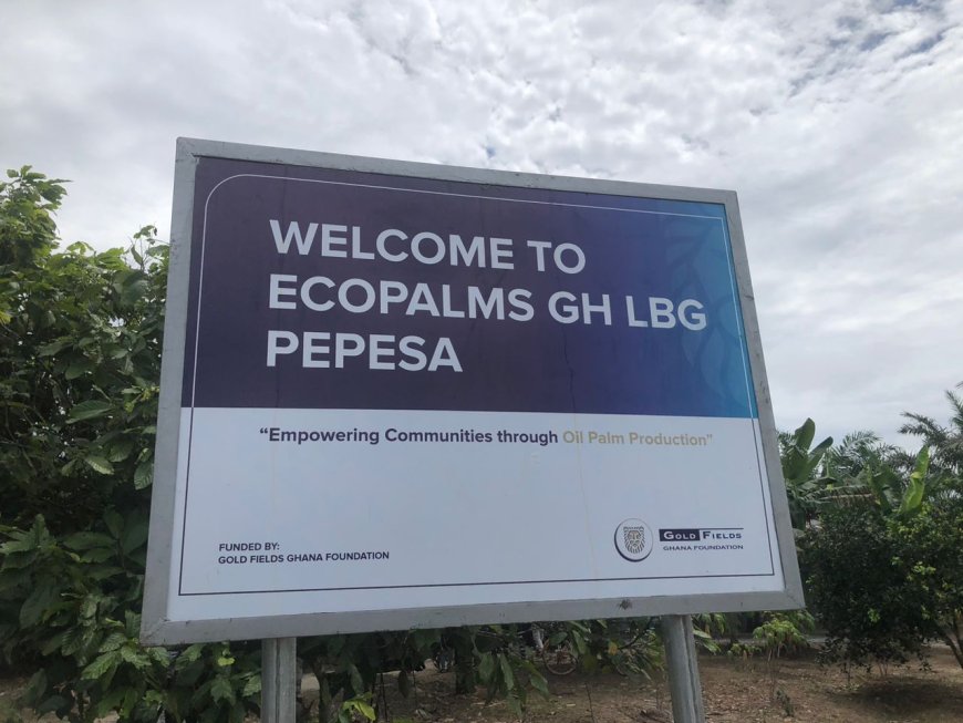 Gold Fields-Backed Nursery Cultivates Prosperity in Pepesa