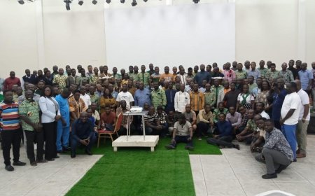 Gold Glitters, Workers Flicker: Mine Union Boss Slams "Cut-Throat" Labour Practices Amid Record Boom