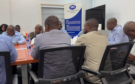 Parliamentary Committee Vows to Tackle Mining Sector Challenges, Calls Galamsey a "Major Problem"