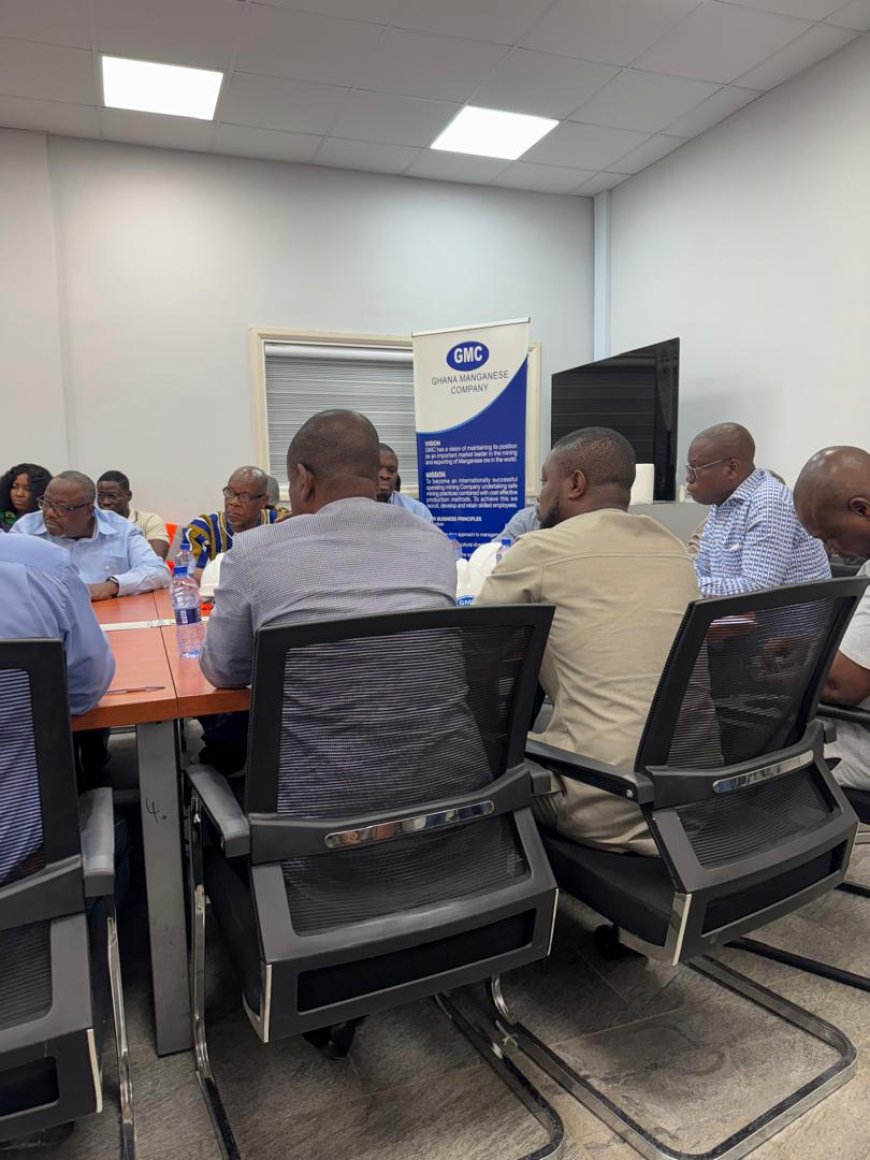 Parliamentary Committee Vows to Tackle Mining Sector Challenges, Calls Galamsey a "Major Problem"