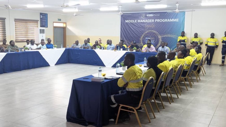 “Don't Kill The Golden Goose": Mining Boss Warns Against Drastic Law Changes