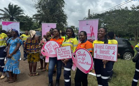 Beyond Pink Ribbons: Gold Fields Launches School-Based Breast Cancer Crusade