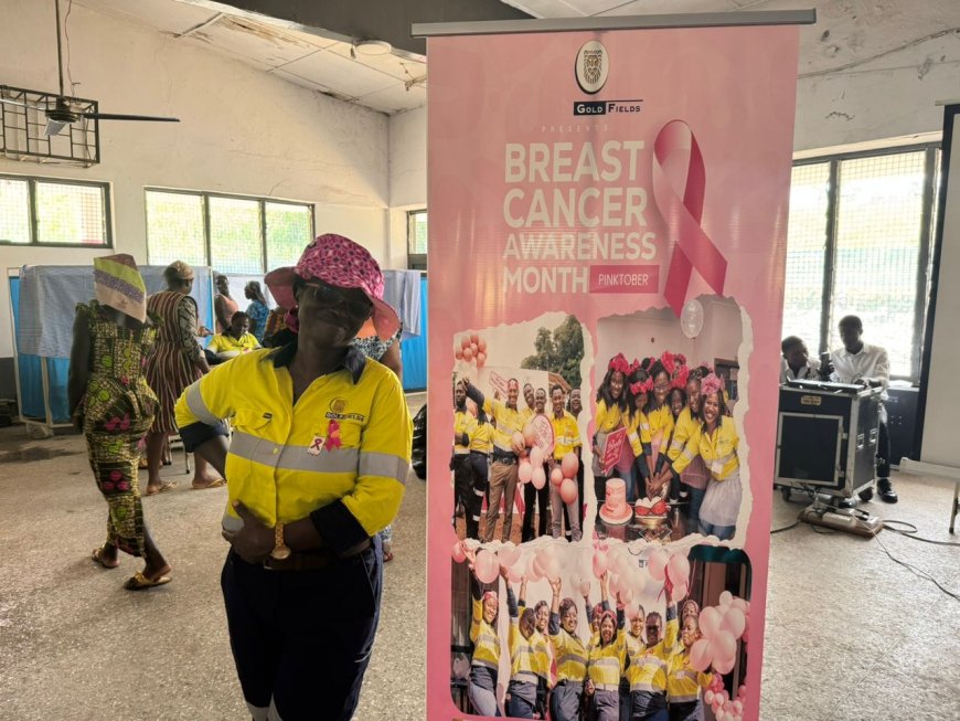 Beyond Pink Ribbons: Gold Fields Launches School-Based Breast Cancer Crusade