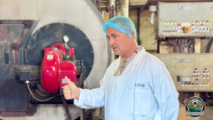 A Silent Giant Wakes? WAMCO Hails Cocoa Policy Shift as Lifeline for Dormant Plant