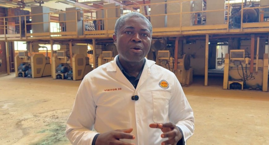 A Silent Giant Wakes? WAMCO Hails Cocoa Policy Shift as Lifeline for Dormant Plant