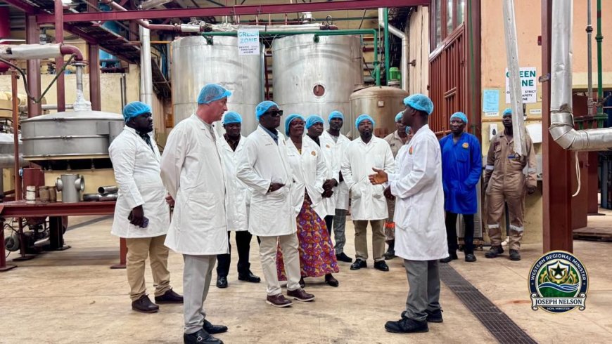 A Silent Giant Wakes? WAMCO Hails Cocoa Policy Shift as Lifeline for Dormant Plant