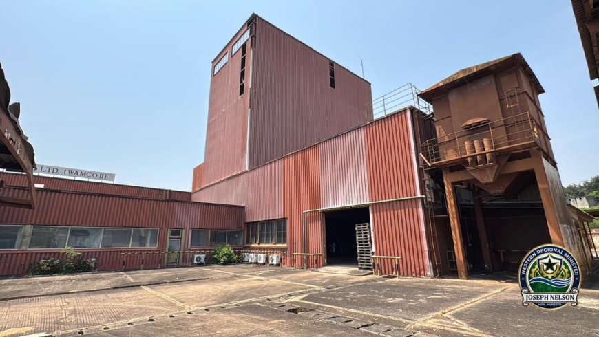 A Silent Giant Wakes? WAMCO Hails Cocoa Policy Shift as Lifeline for Dormant Plant