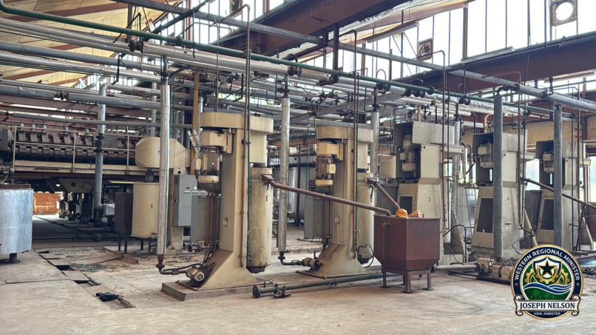 A Silent Giant Wakes? WAMCO Hails Cocoa Policy Shift as Lifeline for Dormant Plant