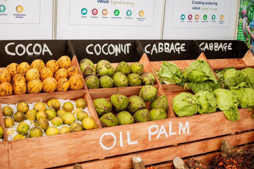 A Legacy Etched in Gold: Damang Community Hails 25 Years of Transformation as Mining Giant Prepares to Depart