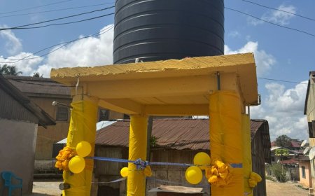 Dakate Small Scale Mining Company Brings Lifeline to Green Compound