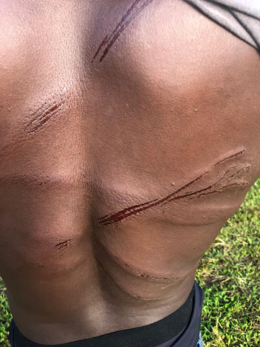 Outrage Boils Over as Soldiers Assault Innocent Teachers in Mining Raid”