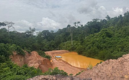 Gan-He Mine Shut Down as EPA Uncovers Dangerous Environmental Infractions