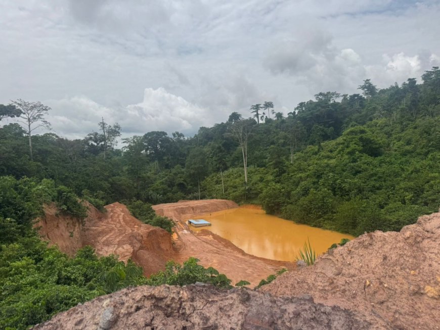 Gan-He Mine Shut Down as EPA Uncovers Dangerous Environmental Infractions